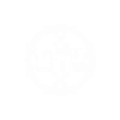 Carbon Lite Construction