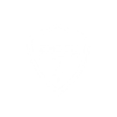 Shock Shield Handle Technology